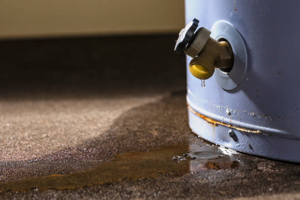 Best Water damage repair service  in Palermo, CA