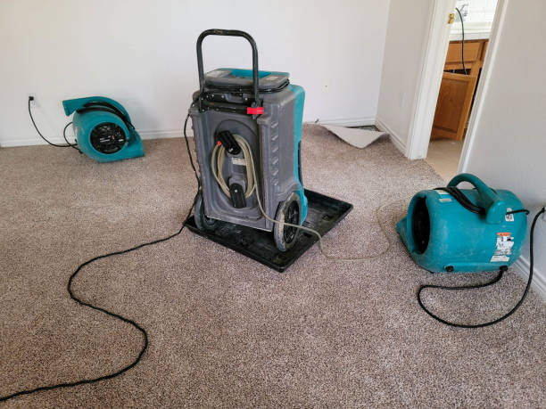Best Mold removal after water damage  in Palermo, CA