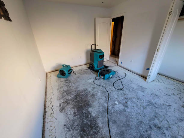 Best Carpet water damage restoration  in Palermo, CA