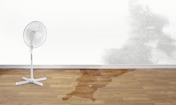 Best Water damage restoration near me  in Palermo, CA