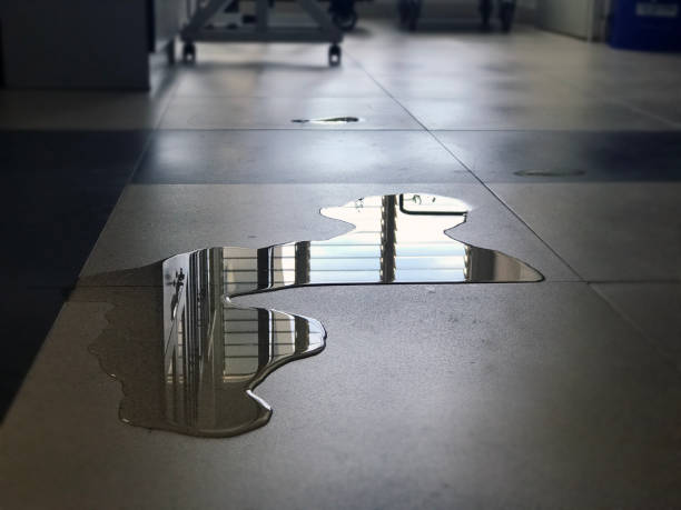 Best 24-hour water damage restoration  in Palermo, CA