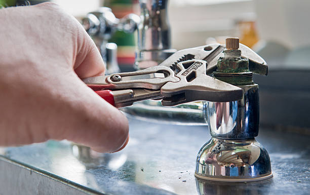 Best Professional water damage repair  in Palermo, CA