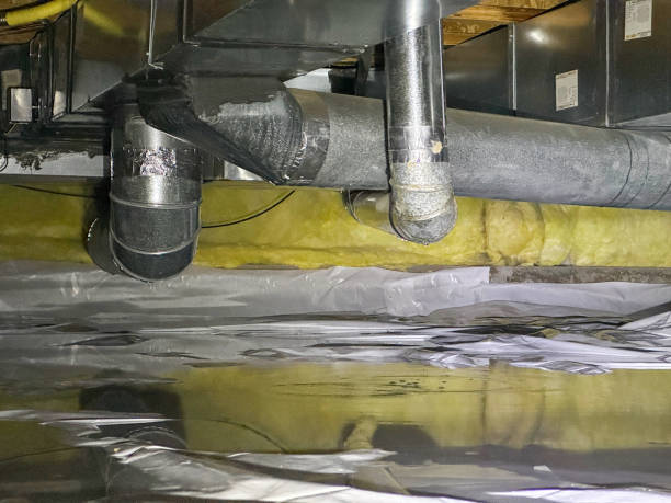Best Local water damage restoration  in Palermo, CA