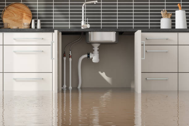 Carpet water damage restoration in CA